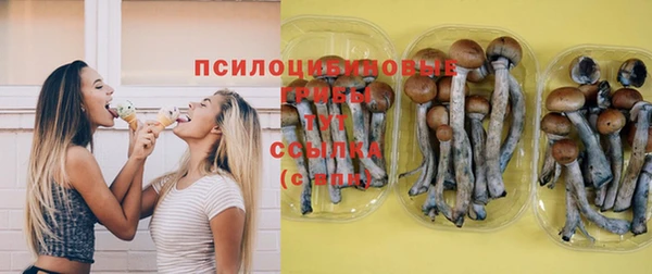 mix Армянск