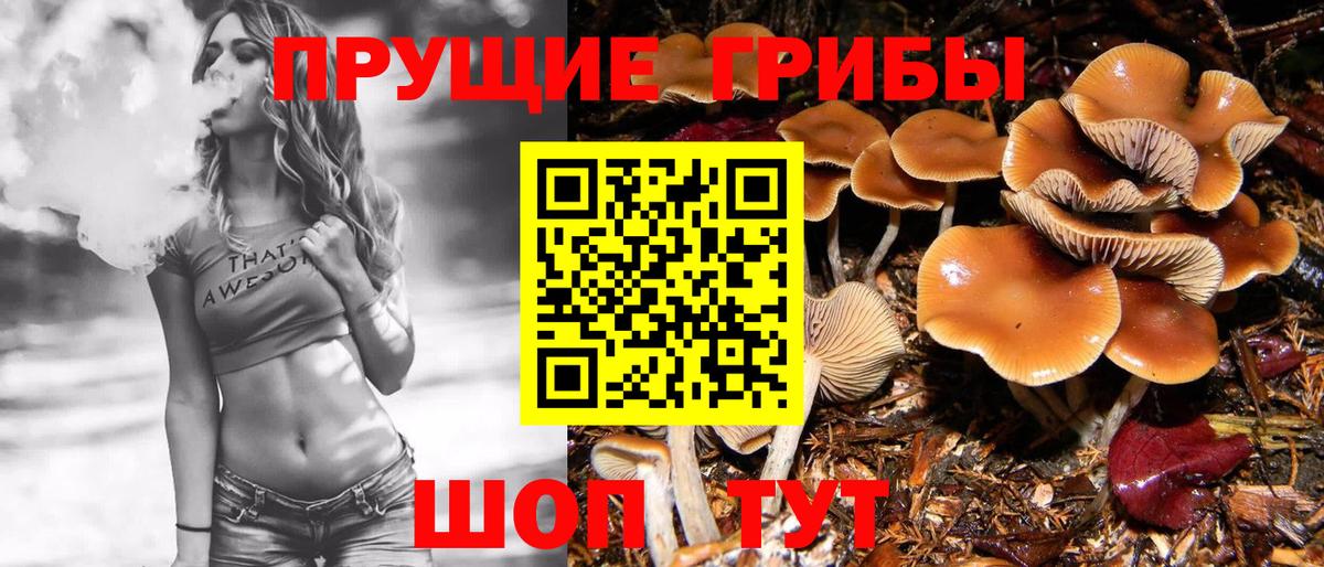 Псилоцибиновые грибы мицелий Тулун