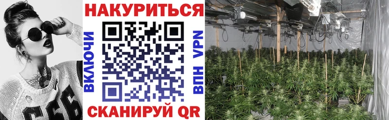 дарнет шоп  Тулун  сайты даркнета состав  Шишки марихуана план 